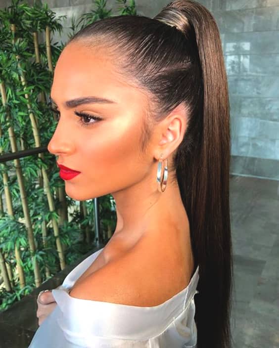 Sleek Ponytail